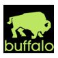 Buffalo