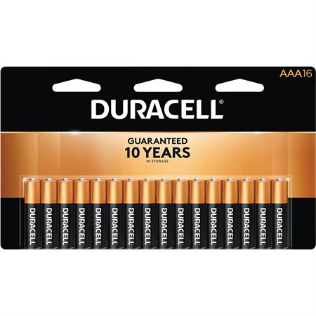 Coppertop Alkaline Batteries