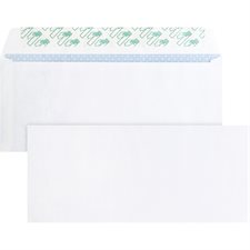 Security Peel-To-Seal Envelope