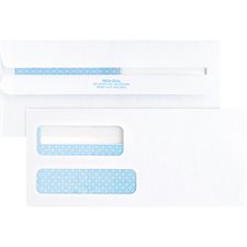 Self-Seal Security Envelope