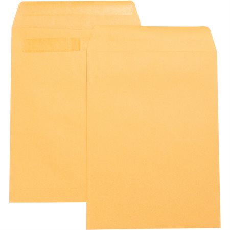 Press-to-Seal Envelope