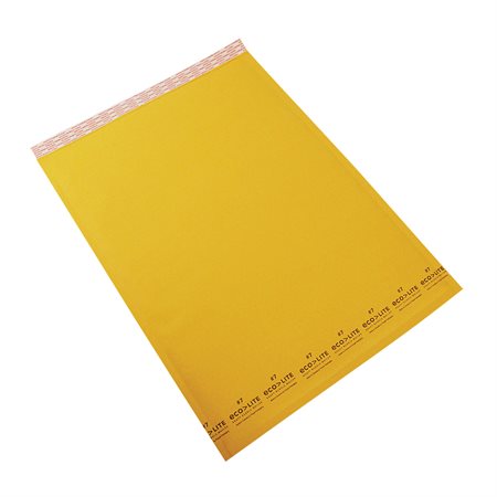 Ecolite Shipping Envelope