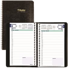 Agenda quotidien (2025)