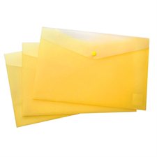 Document Envelope