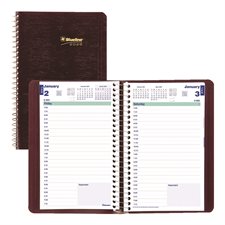 Daily Diary (2026)