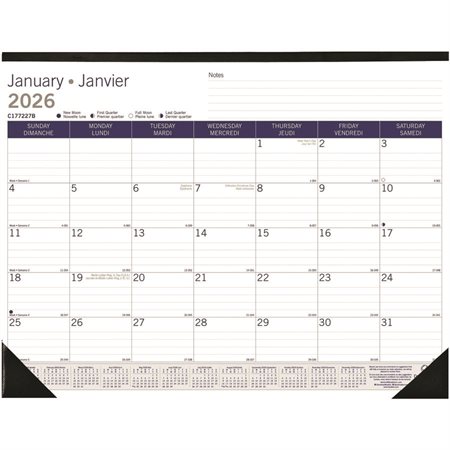 DuraGlobe Monthly Desk Pad Calendar (2025)