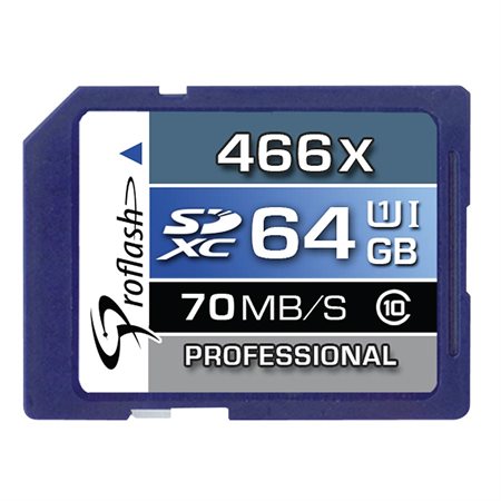 Secure Digital Memory Card