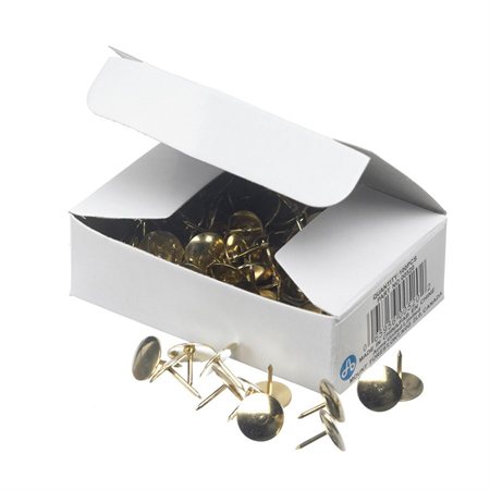 Brass Thumb Tacks