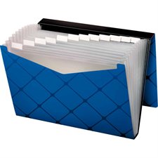 Pocket Expandable File