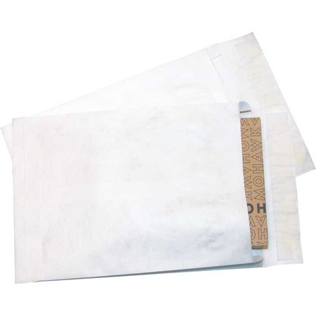 Tyvek Envelope