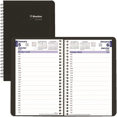 Daily Diary (2025)