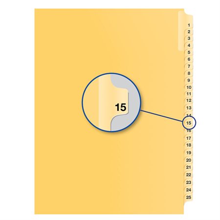 Individual Numerical Litigation Index Dividers