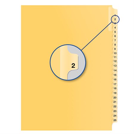 Individual Numerical Litigation Index Dividers