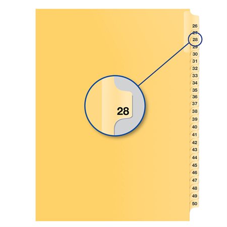 Individual Numerical Litigation Index Dividers