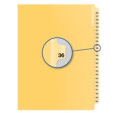 Individual Numerical Litigation Index Dividers