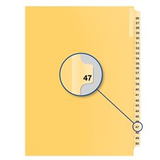 Individual Numerical Litigation Index Dividers