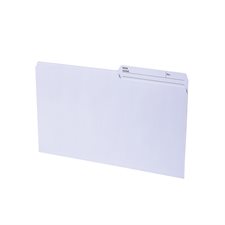 Reversible File Folder