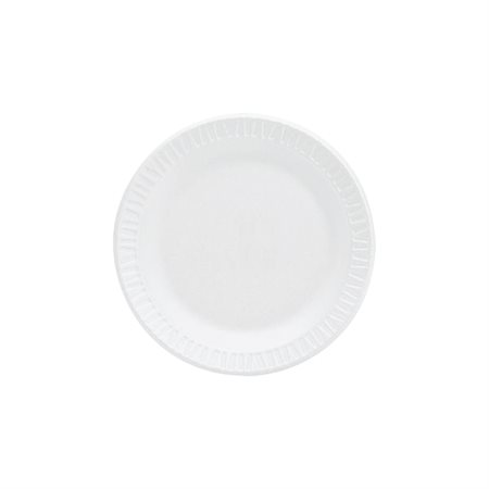 Concorde Disposable plate