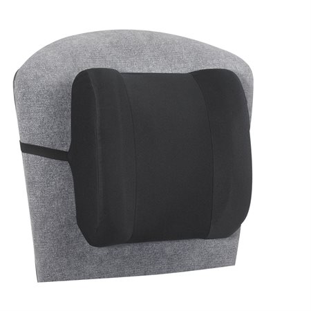 Remedease® High Profile Backrest