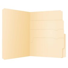 Divide It Up™ File Folder