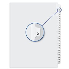 Quest Numerical Litigation Index Dividers