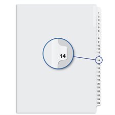 Quest Numerical Litigation Index Dividers