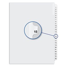 Quest Numerical Litigation Index Dividers