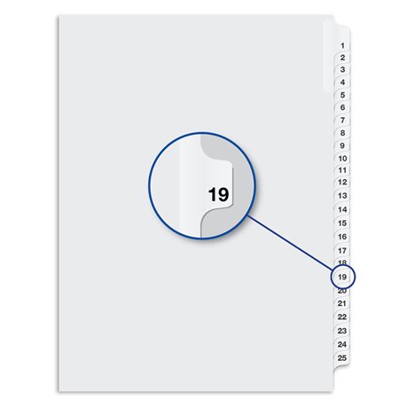 Quest Numerical Litigation Index Dividers