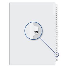 Quest Numerical Litigation Index Dividers