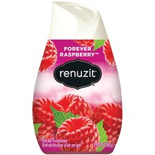 Renuzit Gel Air Freshener