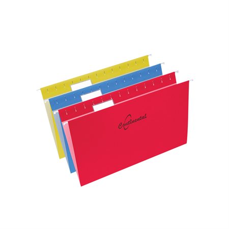 Hanging File Folders