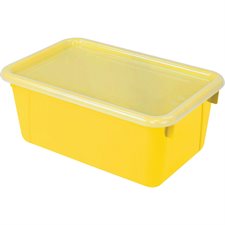 Small Cubby Bin with Cover