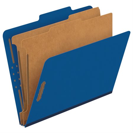 Pendaflex Classification Folders