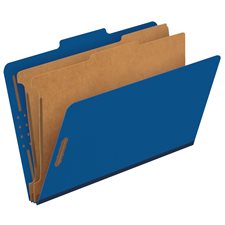 Pendaflex Classification Folders