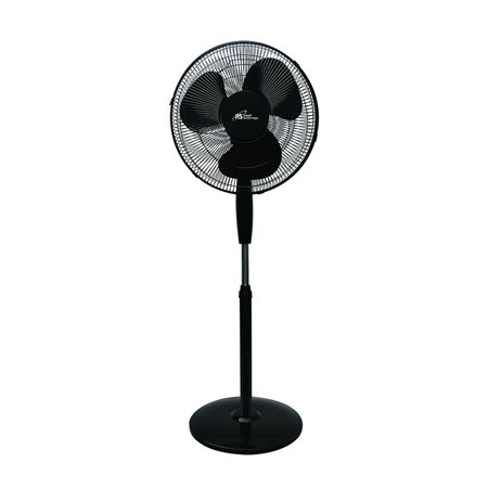 Oscillating Pedestal Fan