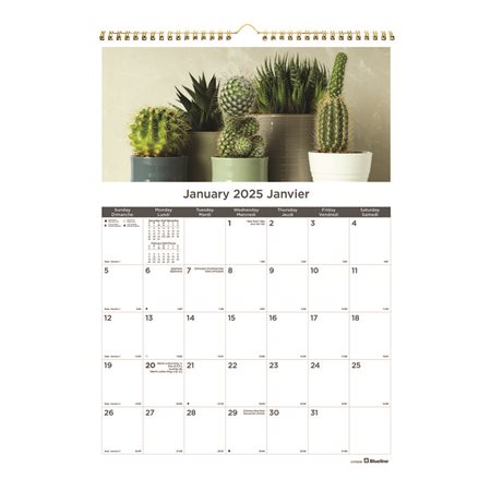 Succulent Plants Monthly Wall Calendar (2025)