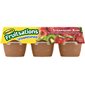 Fruitsations fraise kiwi non sucrée