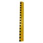 Primary Ruler