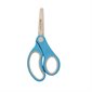 Blunt Scissors