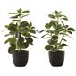Artificial Plant - Ficus Elastica