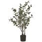 Artificial Eucalyptus in Black Pot