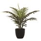 Artificial Plant - Palm