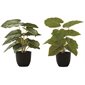 Artificial Plant - Epipremnum