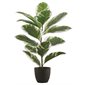 Artificial Rubber Plant