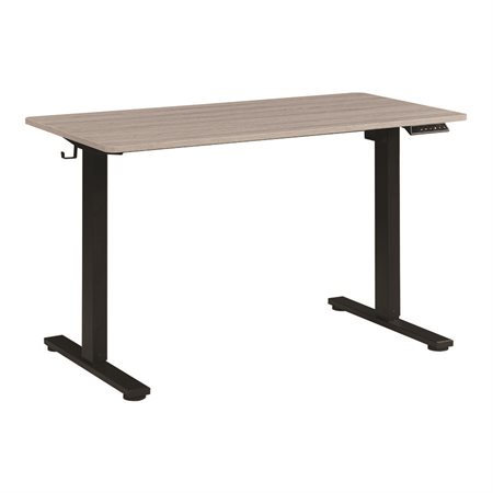 Electric Adjustable Height Desk