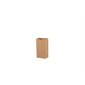 Kraft Paper Bag