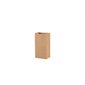 Kraft Paper Bag