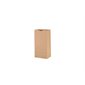 Kraft Paper Bag