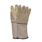 Thermo Guard Gloves