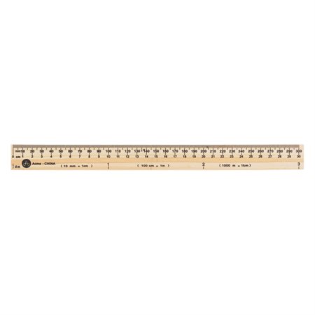 Ruler 30cm